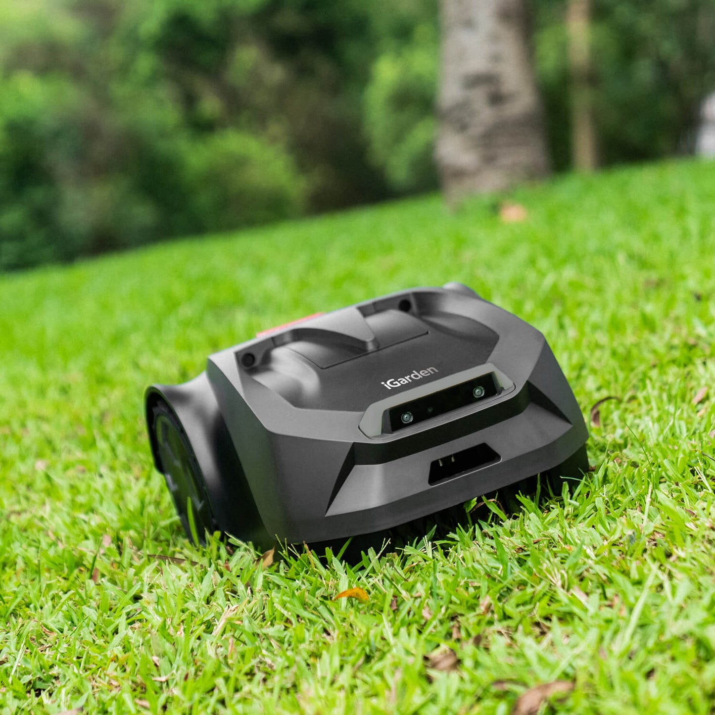 Rasenroboter iGarden Inverquark Mähroboter R